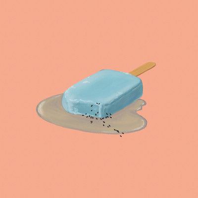 dreamland Front Cover