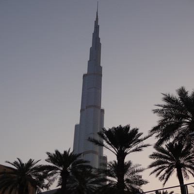 Tropical Pupetts Front Cover