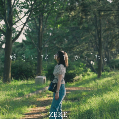 I Wanted To Like You Front Cover