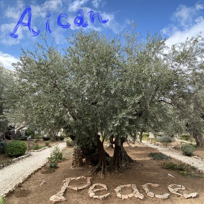 Peace Front Cover