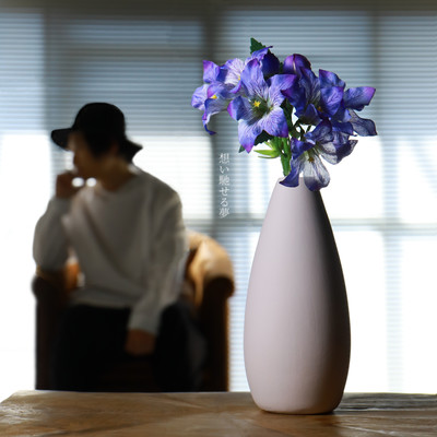 想い馳せる夢のジャケット写真