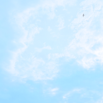 僕が見た世界は全て嘘に染められたのジャケット写真