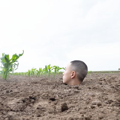 YOVNG POTATO 2のジャケット写真