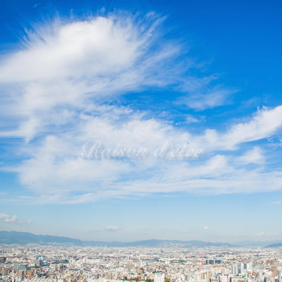 Raison d'être Front Cover