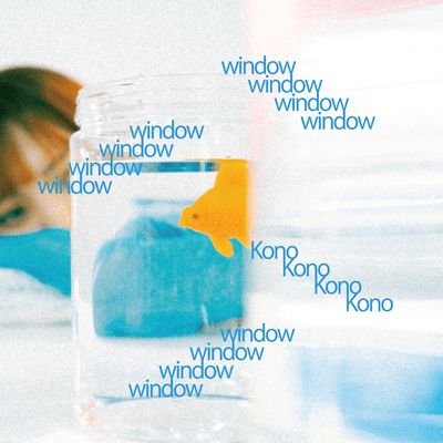 window Front Cover