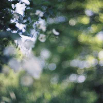 afteryouth Front Cover