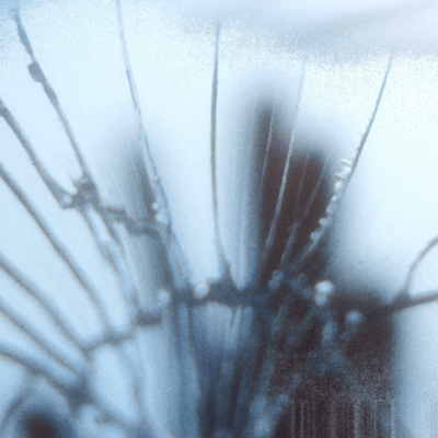 mobpopのジャケット写真