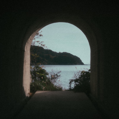 In your empty garden Front Cover