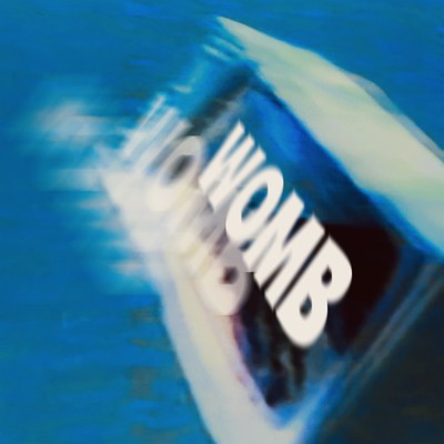 WOMBのジャケット写真