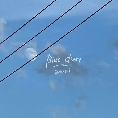 Blue diary Front Cover