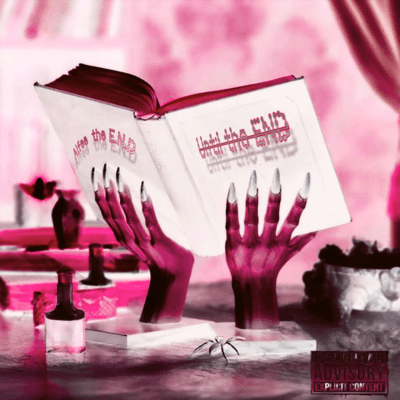 The End Beginsのジャケット写真