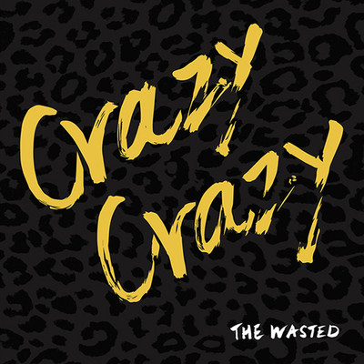 Crazy Crazy Front Cover
