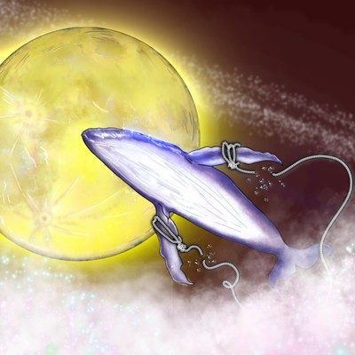 くじらの部屋のジャケット写真