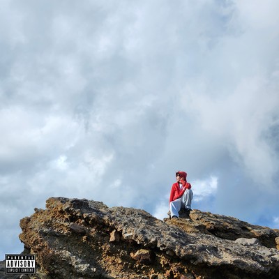 Vanessaのジャケット写真