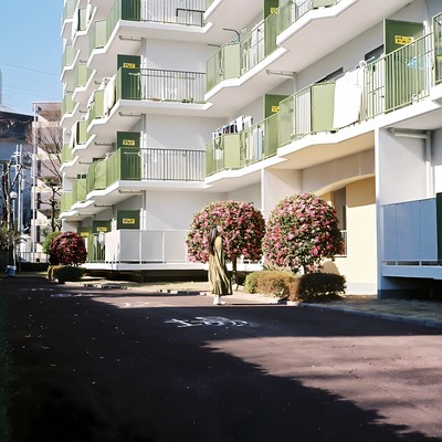 たしかなのジャケット写真