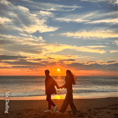 Mr. Darlingのジャケット写真