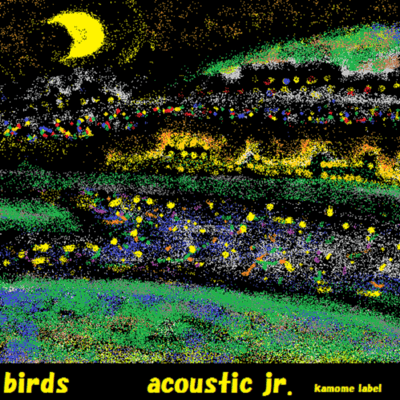 birds Front Cover