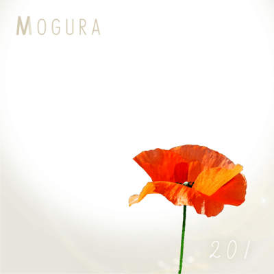 201 Front Cover