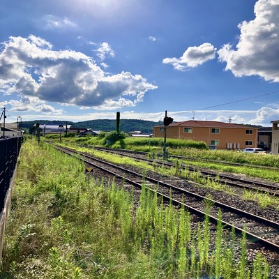 ブルームダンス (feat. 蒼姫ラピス)のジャケット写真