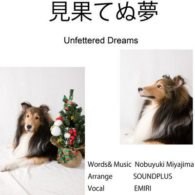見果てぬ夢のジャケット写真