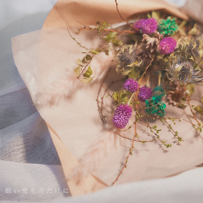 拙い愛を君だけにのジャケット写真