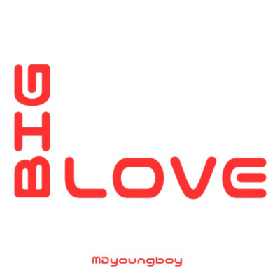 BIG LOVE Front Cover