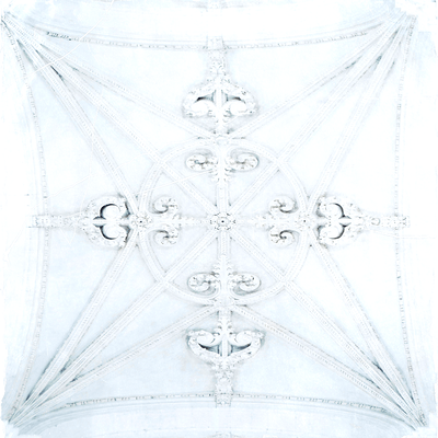 VETTY STAR Front Cover