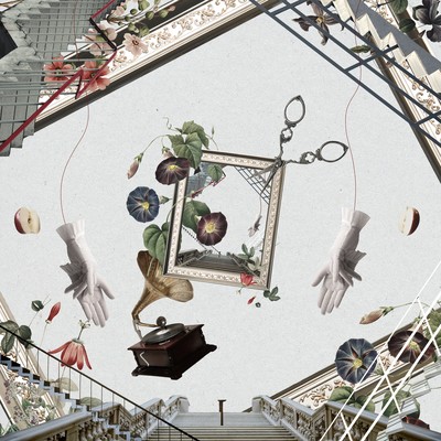 Stray into a museum Front Cover