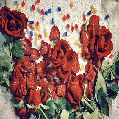 drug Front Cover
