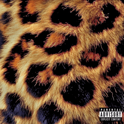 $AYAMA VIBE$ Front Cover