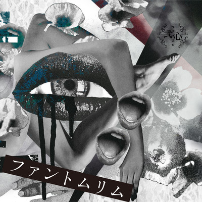 Phantom Limb Front Cover