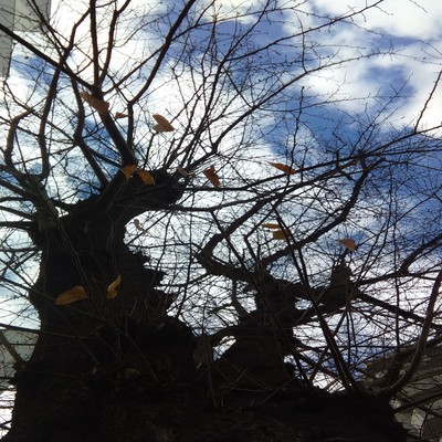 そのままの君でのジャケット写真