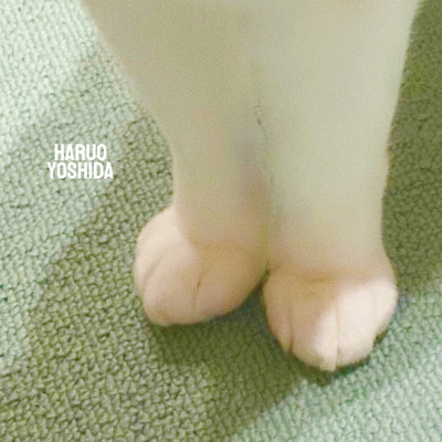 かりてきた猫のジャケット写真