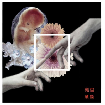 Do?Do? Front Cover