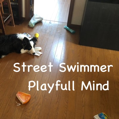 Playful Mind Front Cover