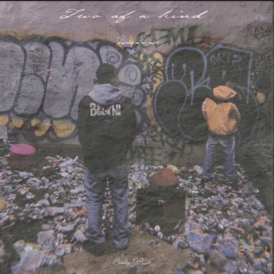 Two of a kind Front Cover