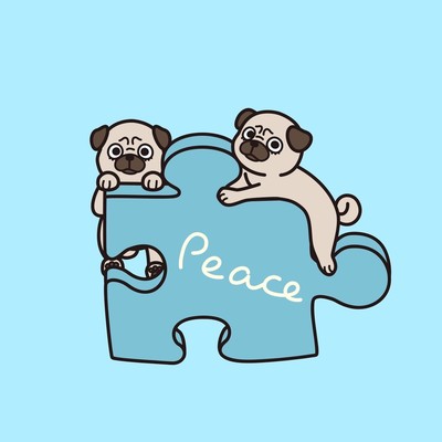 Peace Front Cover