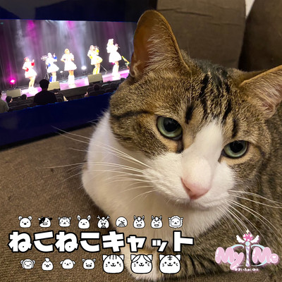 Nekoneko Cat (New version) Front Cover