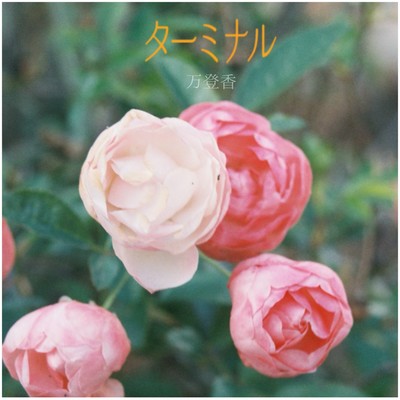 ターミナルのジャケット写真