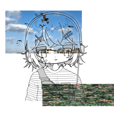 slow Front Cover