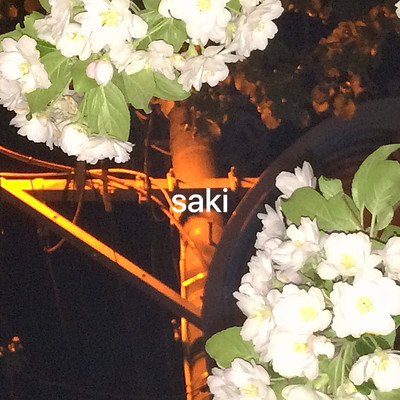 saki Front Cover