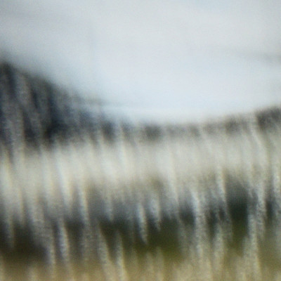 USのジャケット写真