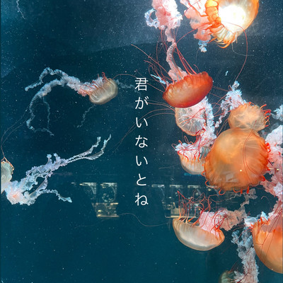 君がいないとねのジャケット写真
