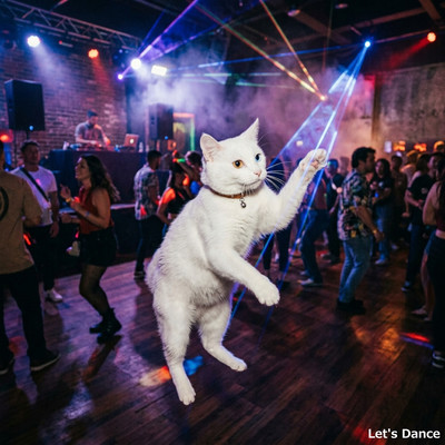 Let's Dance Front Cover