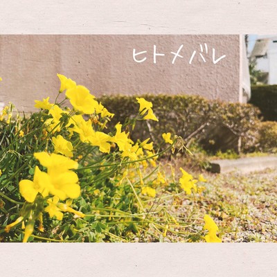 Hitomebare Front Cover