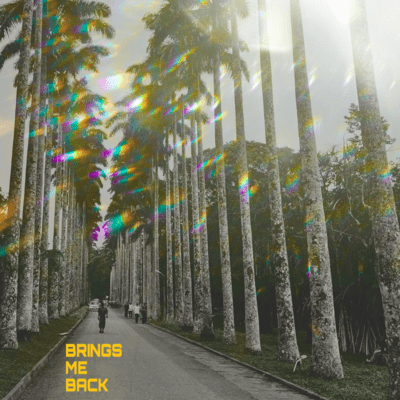 Brings Me Backのジャケット写真