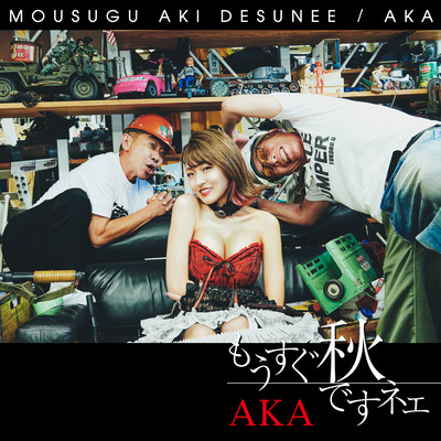 MOUSUGU AKI DESUNEE Front Cover