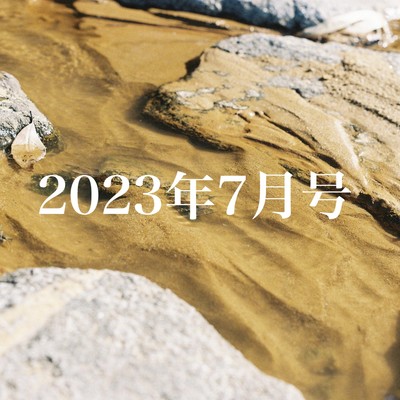 2023年7月号_鳩のジャケット写真