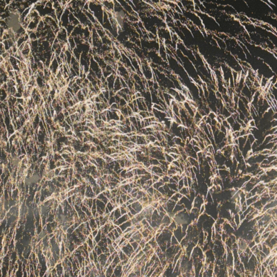 kokorokaraのジャケット写真