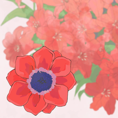 Akai Hanabi (feat. Chis-A) Front Cover